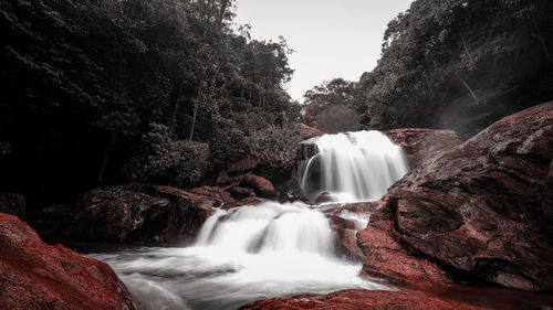 View of waterfall in forest