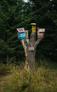 Tree stump with birdhouses