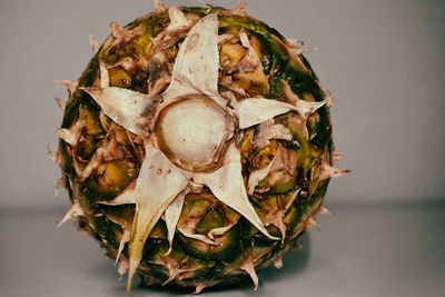 High angle view of leaves on table