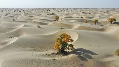 Scenic view of desert against sky