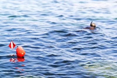 Spearfishing hunter man in underwater fishing sport , focus in buoy