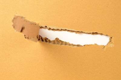 High angle view of broken paper against white background