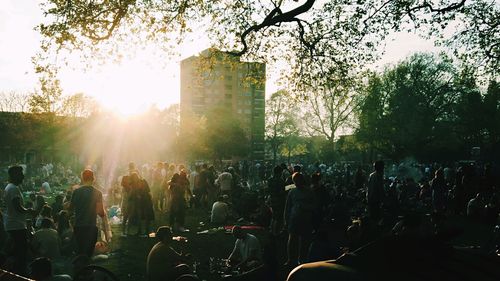 Sun shining through trees
