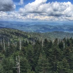 Scenic view of landscape against cloudy sky