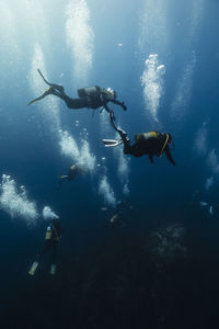 Men and women scuba diving in sea