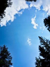 Low angle view of trees against cloudy sky