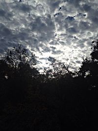 Low angle view of trees against cloudy sky