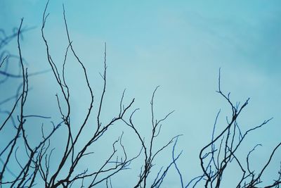 Low angle view of bare tree against clear blue sky