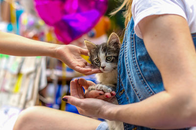 Midsection of woman holding cat