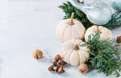 High angle view of pumpkin in plate on table