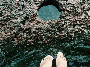 Low section of woman standing by tree