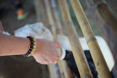 Cropped hand of woman feeding to kid goat in farm