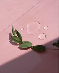 High angle view of leaves on table