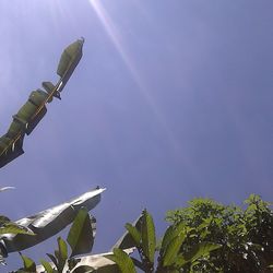 Low angle view of tree against sky