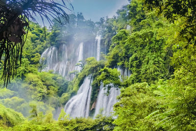 Waterfall in forest