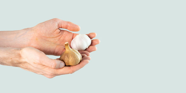 Close-up of hand holding seashell against white background