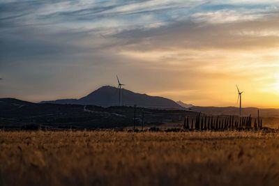 Scenic view of field against sky during sunset