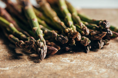 Close-up of crab on table