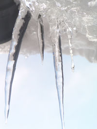Close-up of icicles