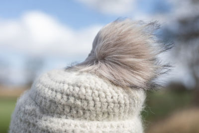 Close-up of an animal