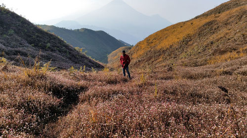 Rear view of man standing on mountain