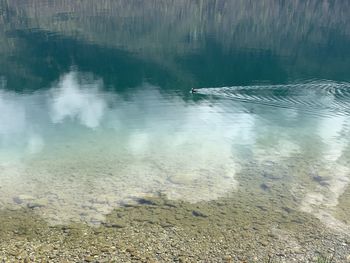 High angle view of swimming in sea