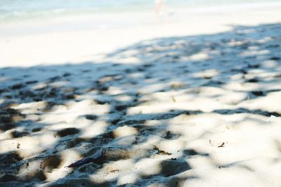 Close-up of snow on beach