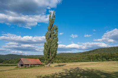 Scenic view of trees and houses on field against sky