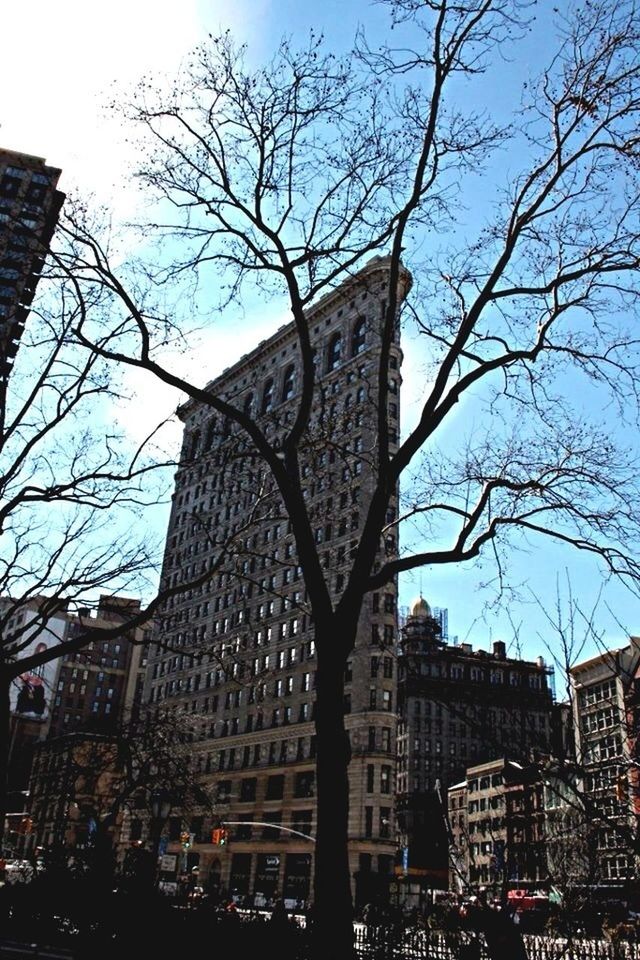 building exterior, architecture, built structure, low angle view, city, bare tree, tower, branch, tree, skyscraper, clear sky, tall - high, office building, modern, building, sky, day, city life, no people, outdoors