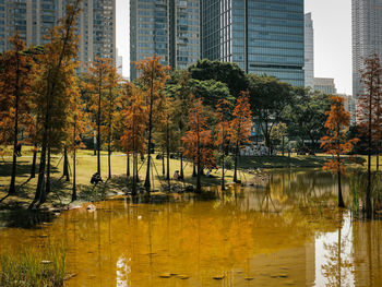 Reflection of buildings in water