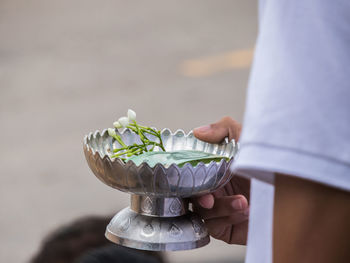 Close-up of woman holding leaf