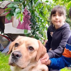 Portrait of cute dog