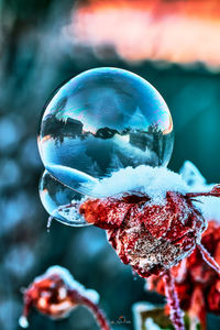 Close-up of frozen ice