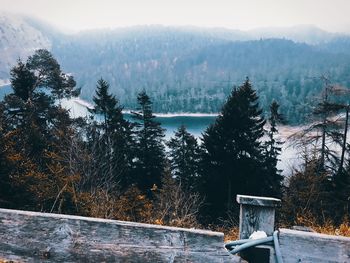 Scenic view of lake in forest during winter