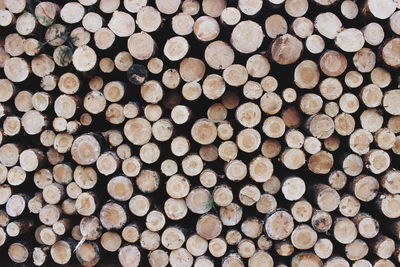 Full frame shot of logs