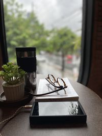 Close-up of potted plant on table