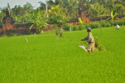 Man on grassy field