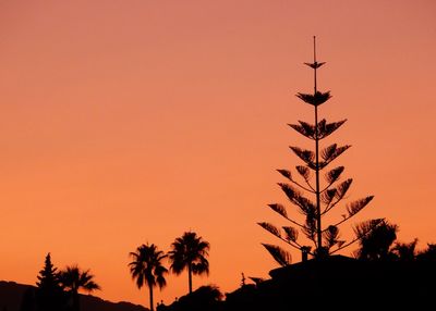 Low angle view of silhouette palm trees against orange sky