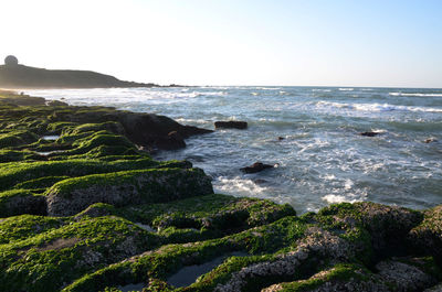 Scenic view of sea against clear sky