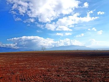 Scenic view of field against sky