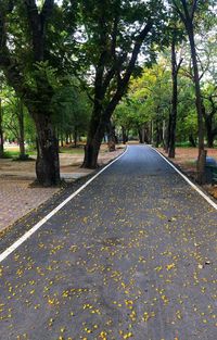 Empty road along trees in park during autumn