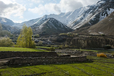 Scenic view of field against mountains