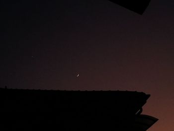 Silhouette bird against sky at night