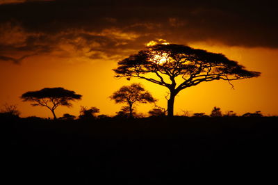 Silhouette tree against sky during sunset