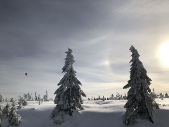 Snow covered land and trees against sky