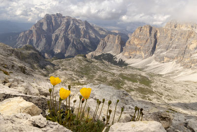 Scenic view of rocky mountains against cloudy sky