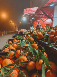 Close-up of orange fruits