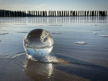 Close-up of frozen wooden posts on beach