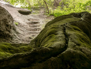 Stream flowing through rocks in forest