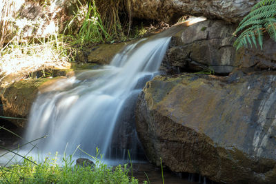 Scenic view of waterfall in forest